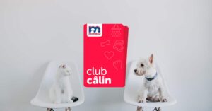 Club Calin