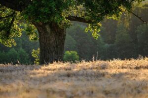 10 activités à Alma à moins de 10$ à faire durant votre «staycation»