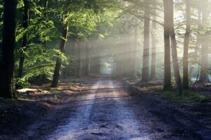 10 activités à Thetford Mines à moins de 10$ à faire durant votre «staycation»