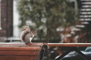 10 activités à Dorval à moins de 10$ à faire durant votre «staycation»