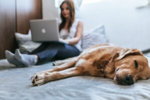 work from home